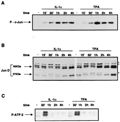 FIG. 7