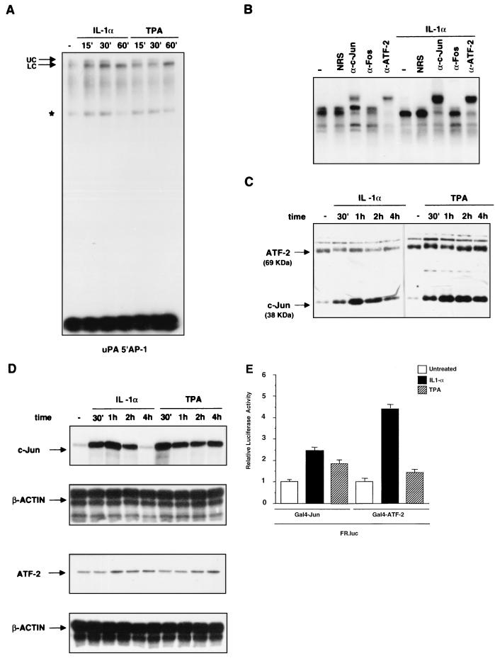 FIG. 6