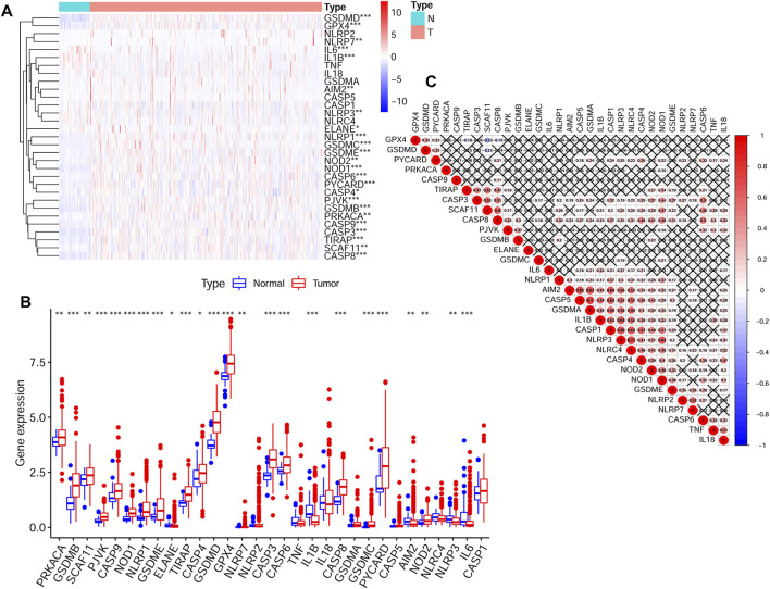 FIGURE 1