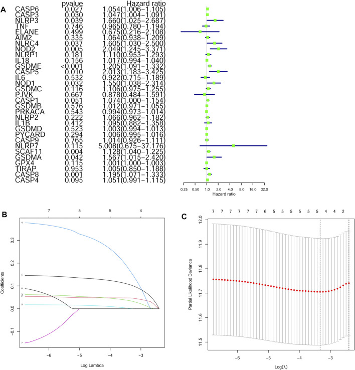 FIGURE 3