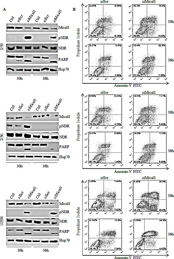 Figure 6