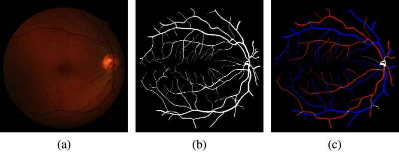 Fig. 10