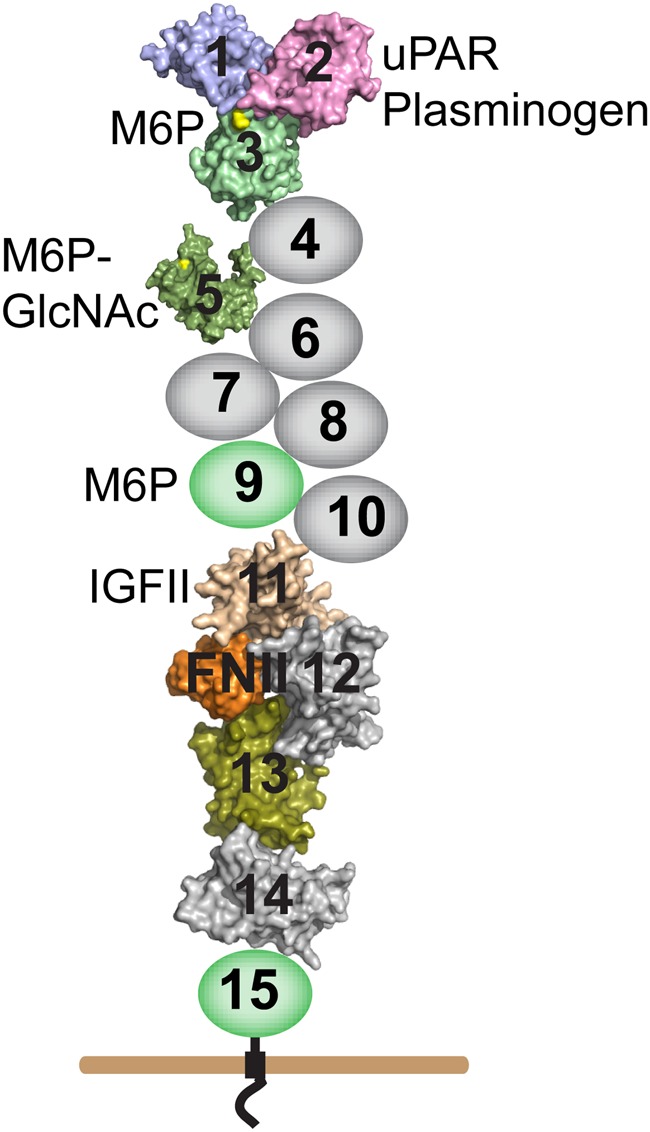 Fig. 1.