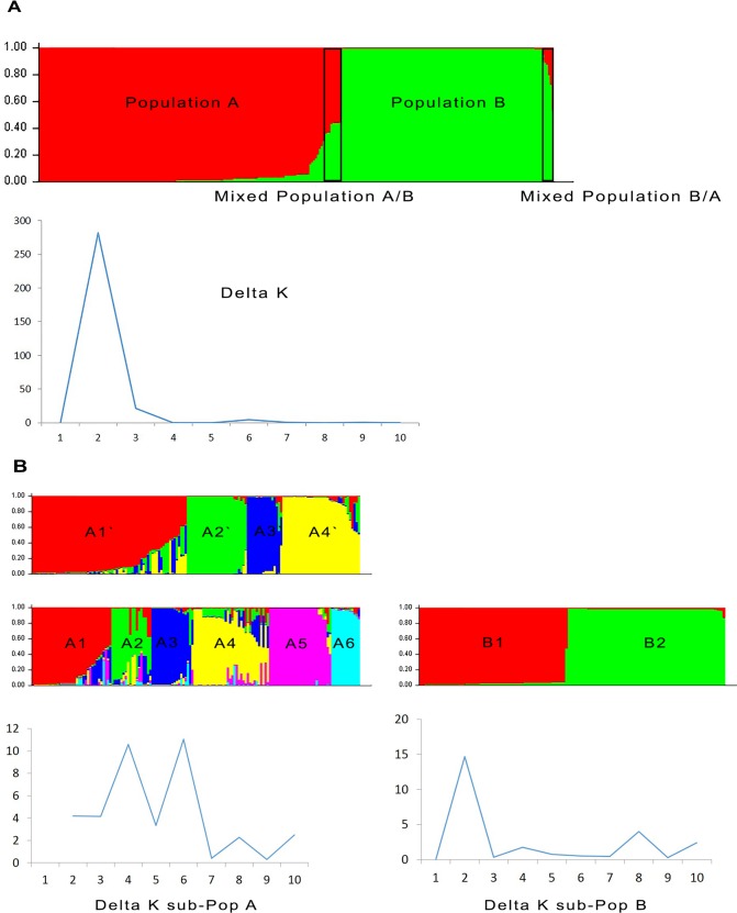 Fig 5