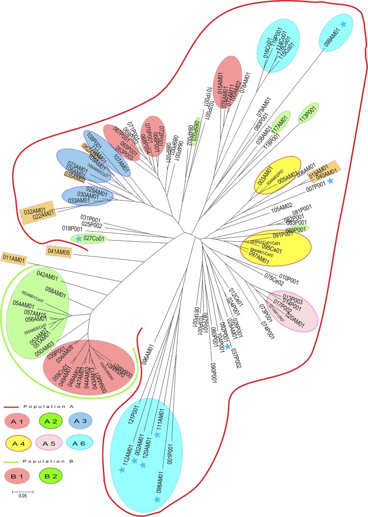 Fig 6