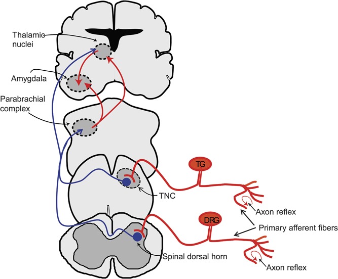 Figure 2.