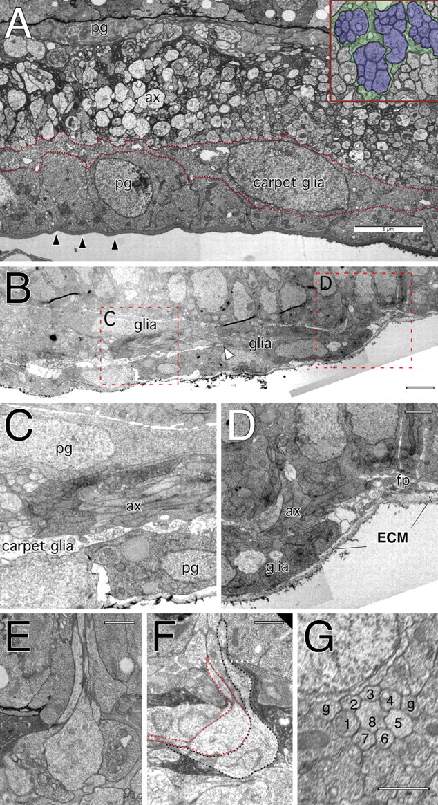 Figure 7.