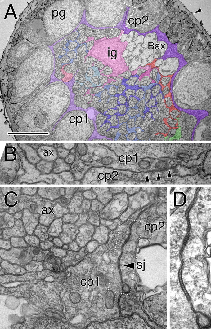 Figure 6.