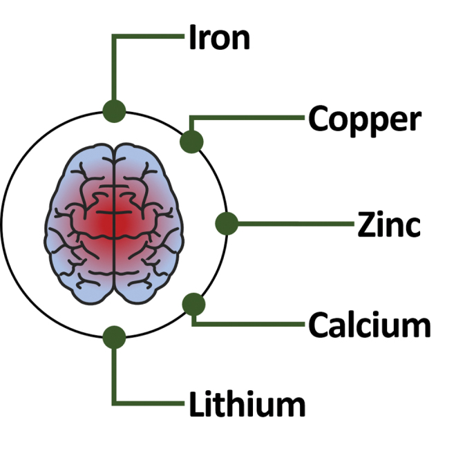 FIG. 3.