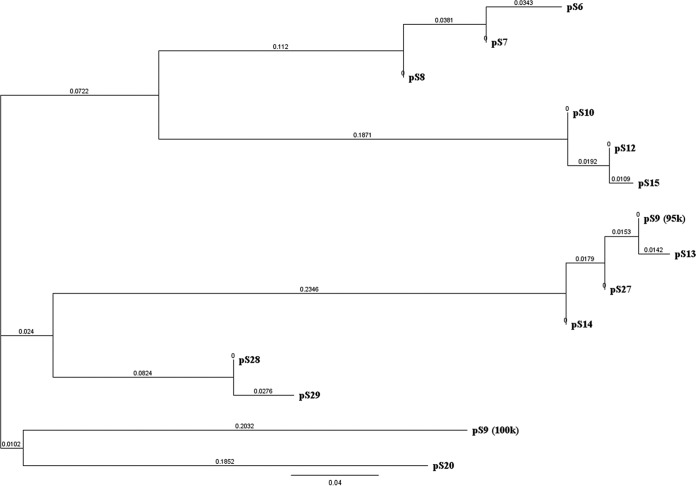 FIG 2