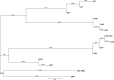 FIG 2