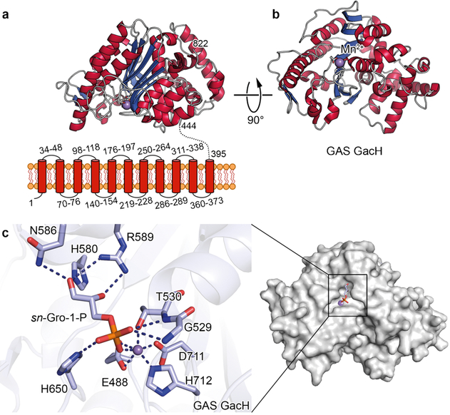 Fig. 3.