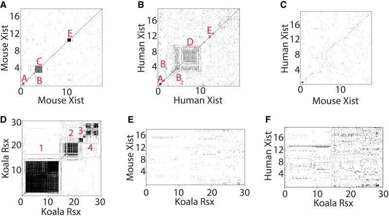 FIGURE 1.