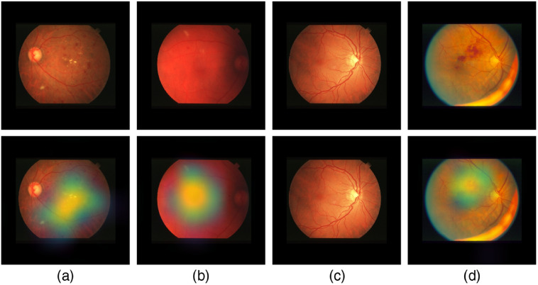 Fig. 24