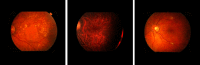 Fig. 9