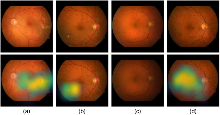 Fig. 20