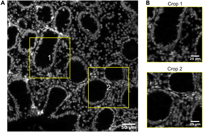 Figure 10