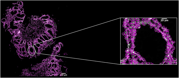 Figure 15