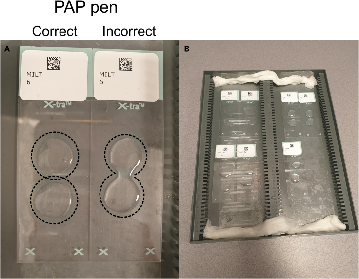 Figure 3