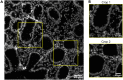 Figure 10