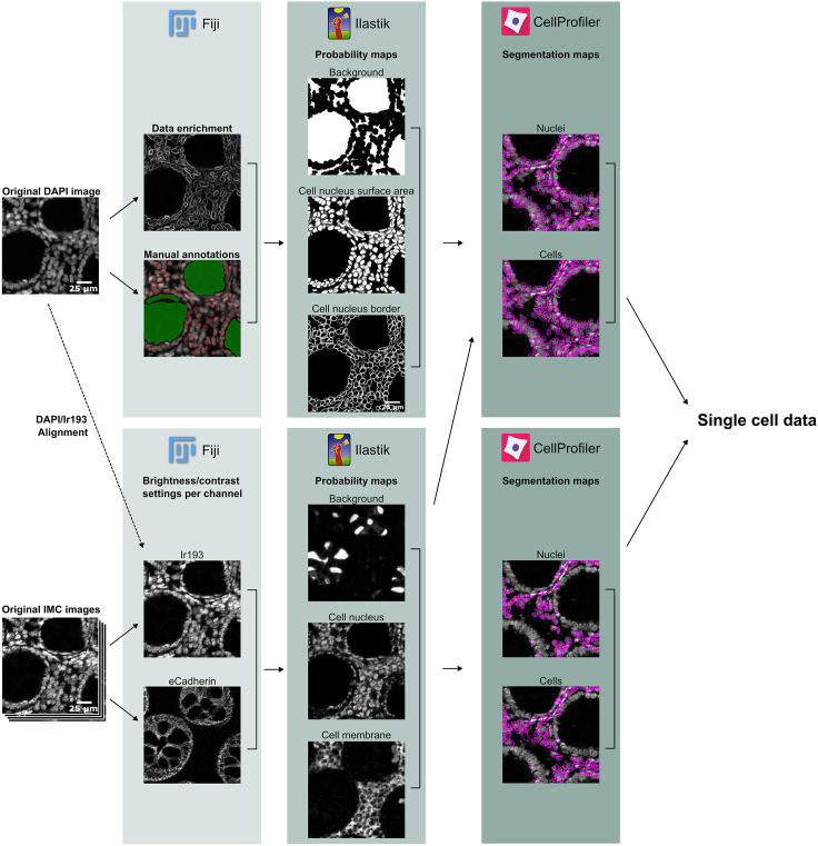 Figure 1