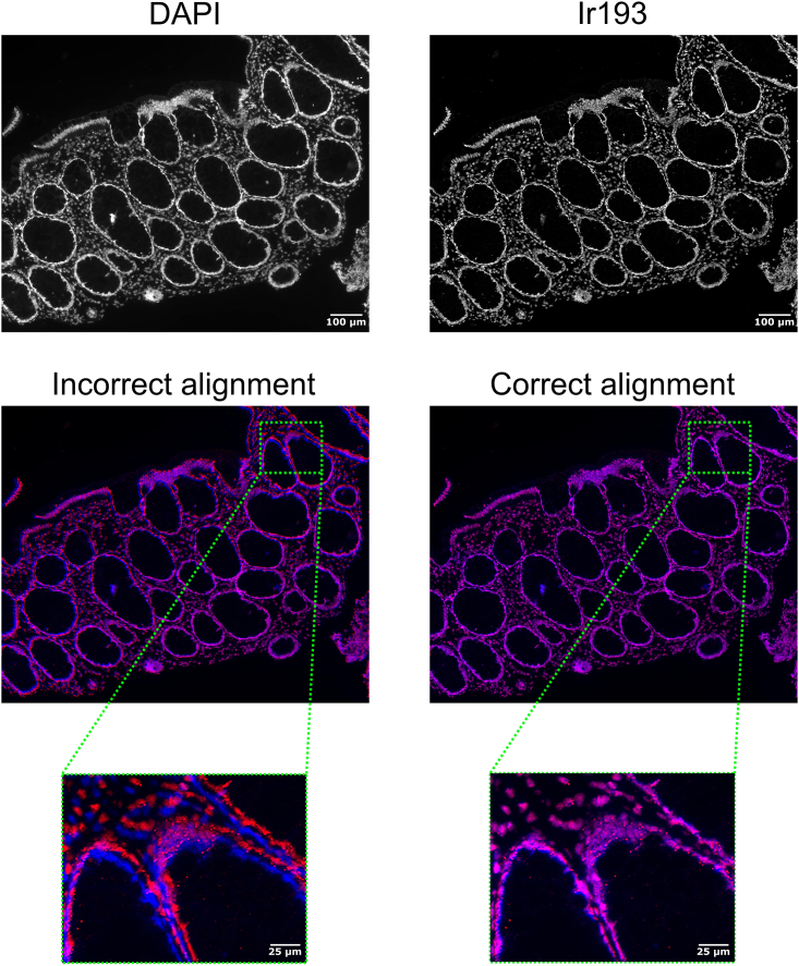 Figure 17