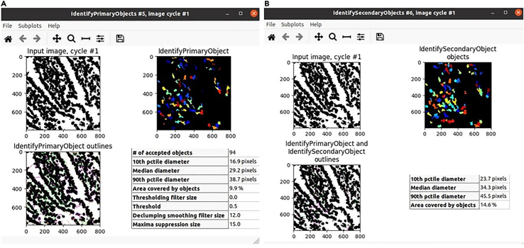 Figure 14