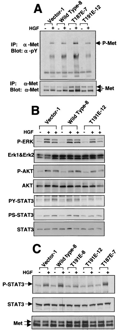 FIG. 11.