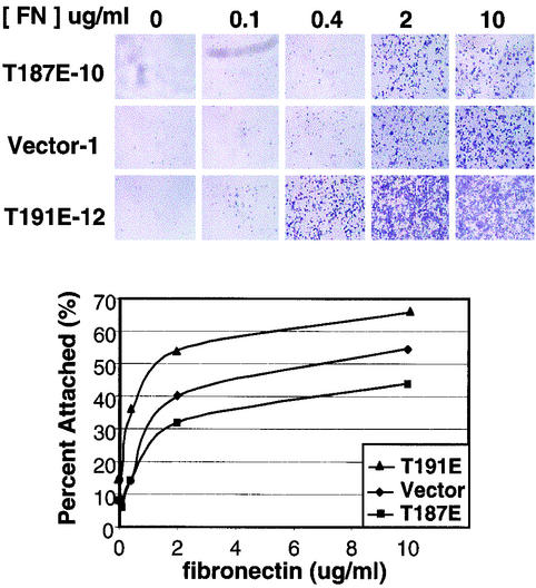 FIG. 8.