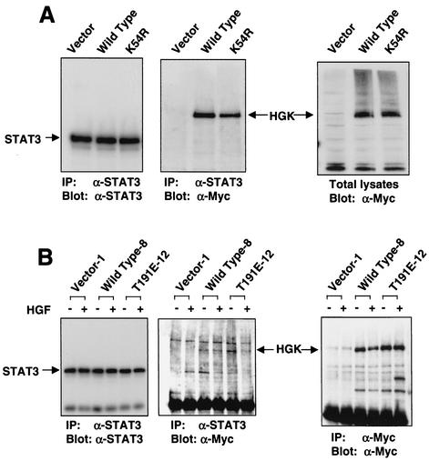 FIG. 12.