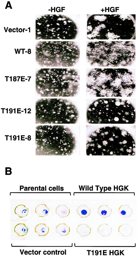 FIG. 10.