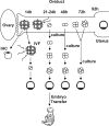 FIG. 4.