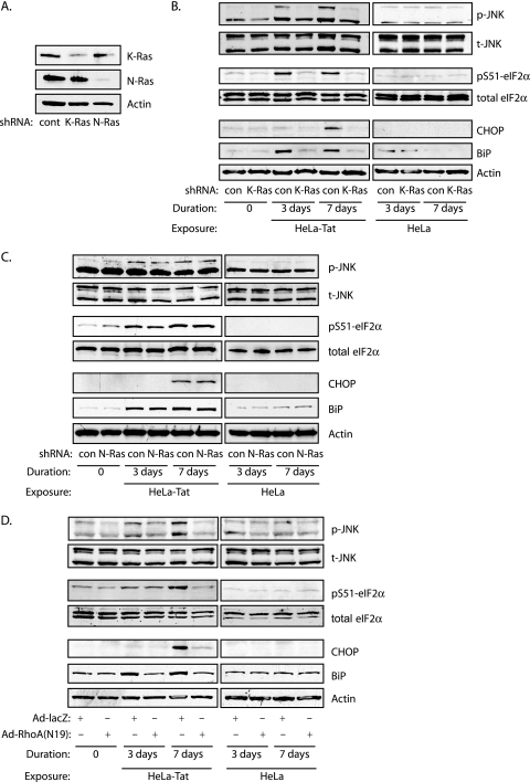 FIG. 7.