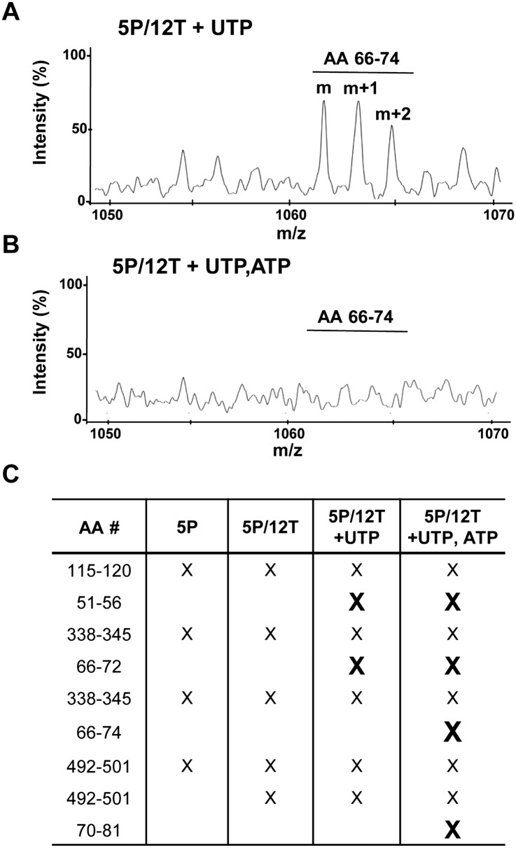 FIGURE 4.