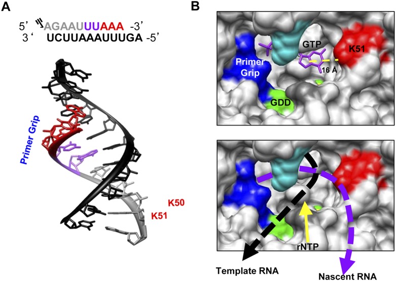 FIGURE 10.