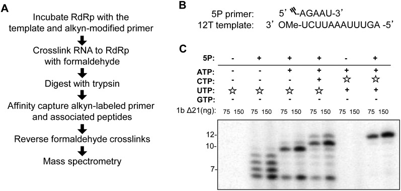 FIGURE 1.