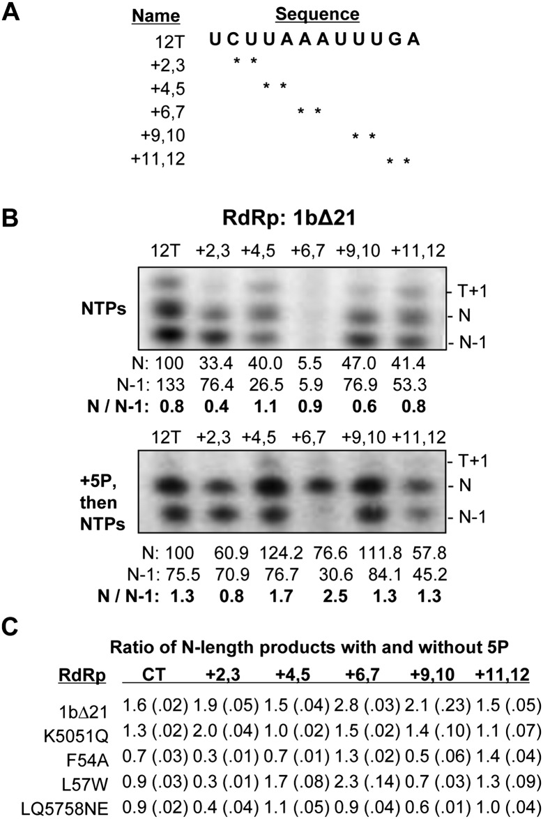 FIGURE 9.