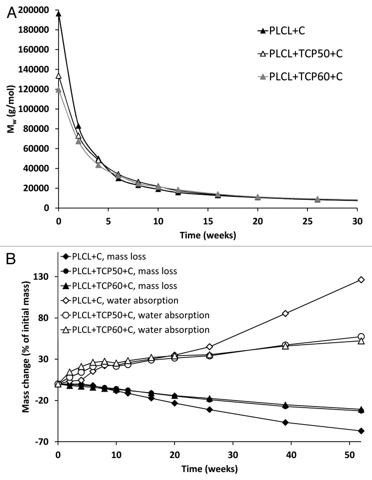 graphic file with name biom-3-e23162-g6.jpg