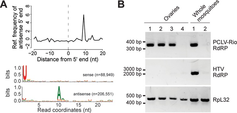 Figure 5.