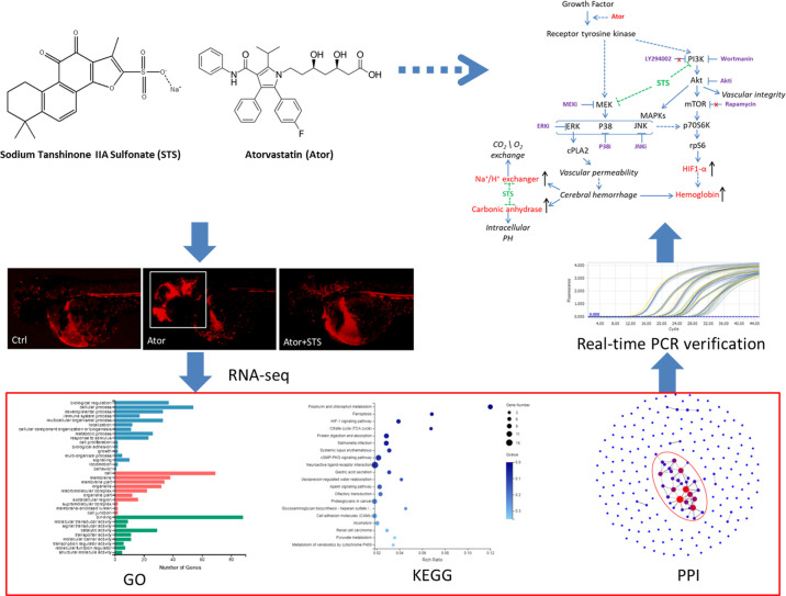 Graphical Abstract