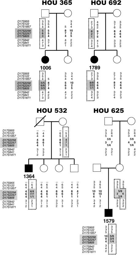 Figure  1