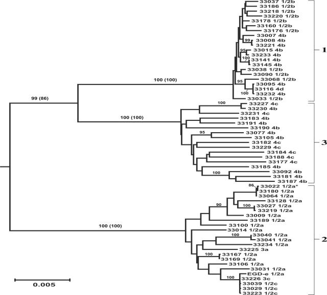 FIG. 1.