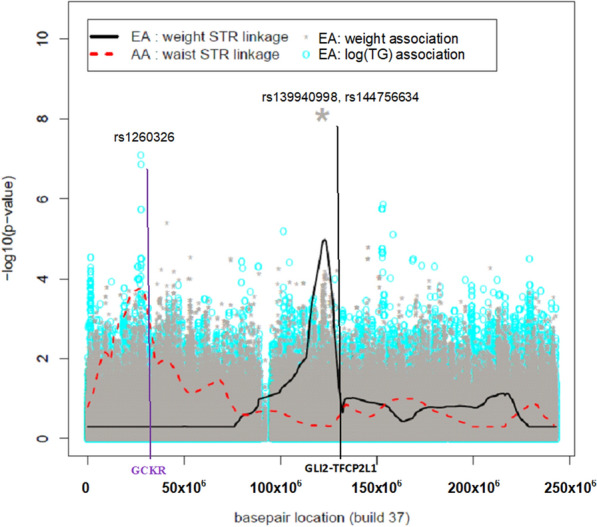 Fig. 2