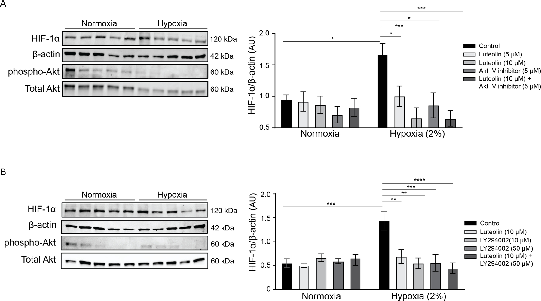 Figure 5: