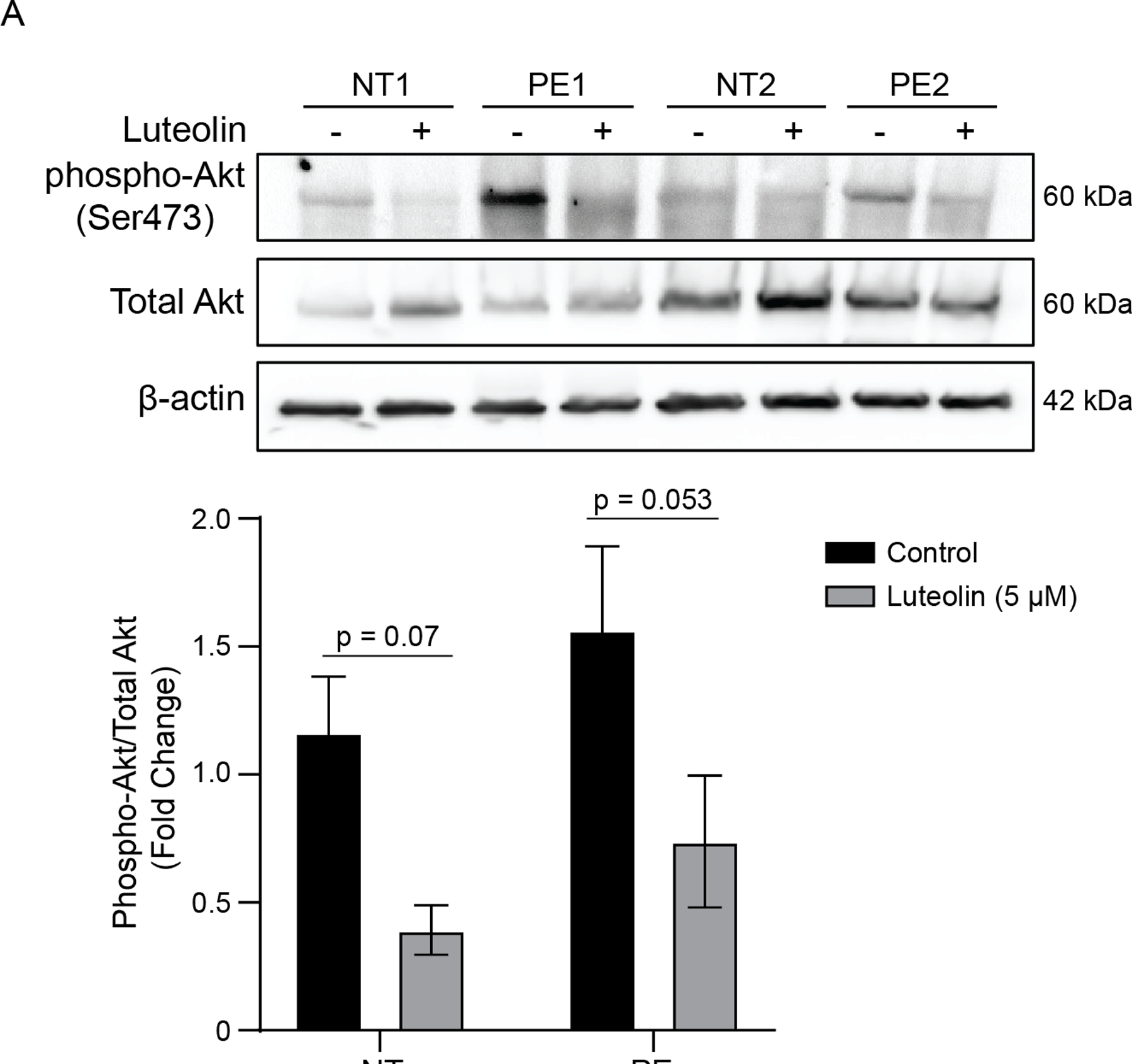 Figure 4: