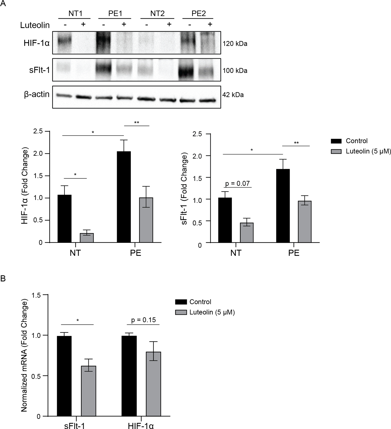 Figure 3: