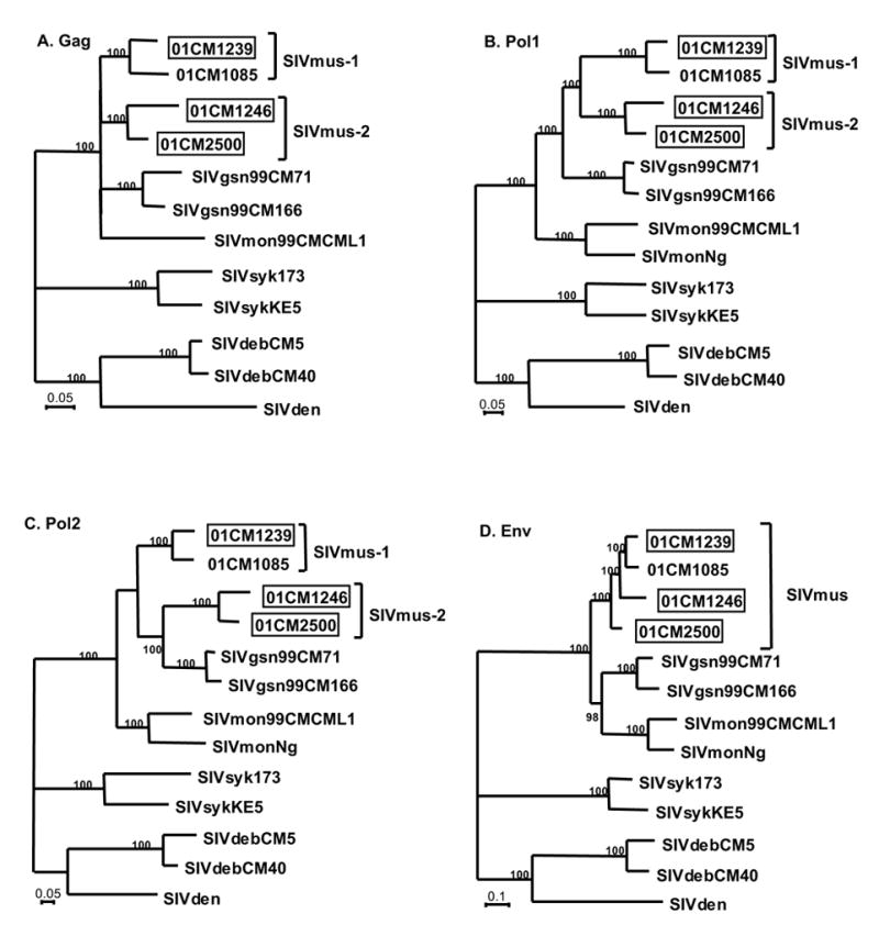 Figure 5