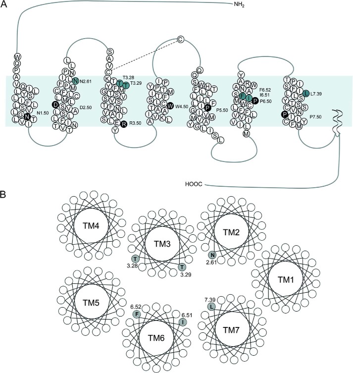 FIGURE 1.