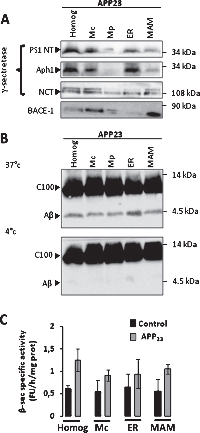 Fig.3