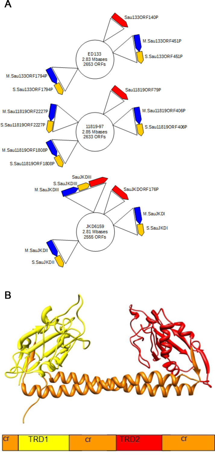 Figure 1.